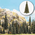 Pine Trees -- pkg(30)