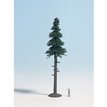 Coniferous (Evergreen) Trees -- Tall-Trunk Pine 4-3/8" 11cm
