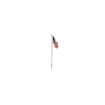 Woodland Scenics JP5950 Flag Pole with U.S. Flag - Just Plug(TM) -- Small