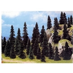 Pine Tree Assortment -- 2-3/8 to 4-11/32" 6 to 11cm pkg(50)