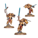 Games Workshop GWS41-31 Warhammer 40K Blood Angels Sanguinary Guard