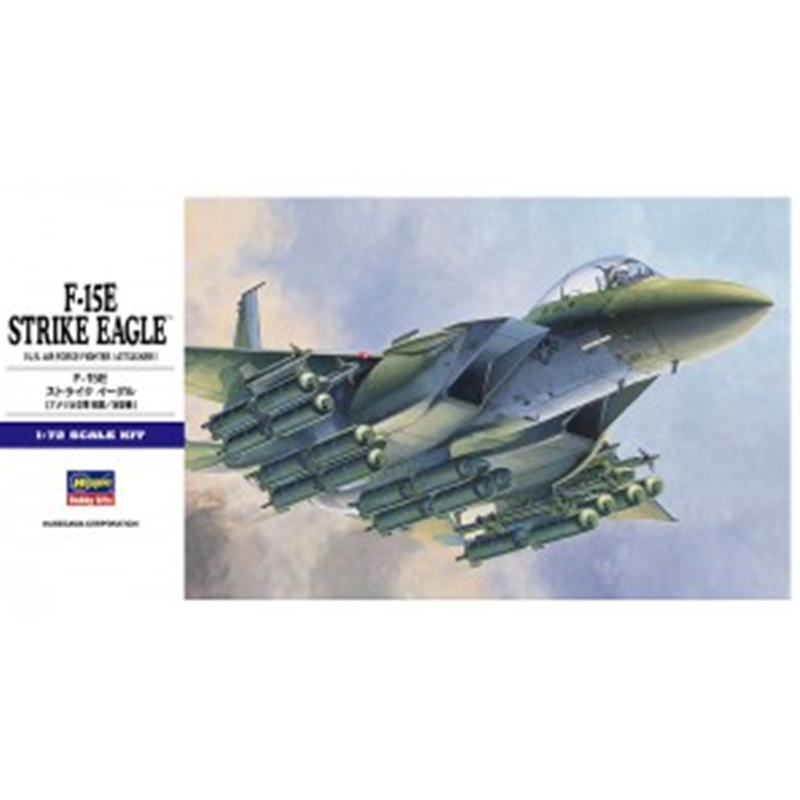 Hasegawa 01569 F-15E Strike Eagle 1:72