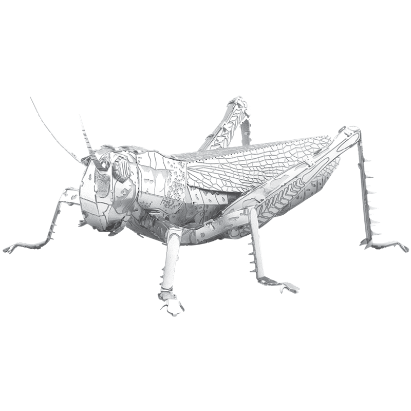 Metal Earth ME1033 Grasshopper